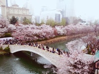 마비노기영웅전 인벤 : 너뮤너무너뮤너무추워여 - 마영전 인벤 자유 게시판