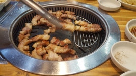 테라(TERA) 인벤 : 냐미냐미 - 테라 인벤 자유게시판 테라(TERA) 인벤 : 냐미냐미