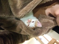 디아블로3 인벤 : 아 고용노동부 전화 조또 안댐 ^ ^ - 디아블로3 인벤 자유게시판