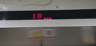 검은사막 인벤 : 아 오늘 미스터피자 각이었는데 - 검은사막 인벤 자유게시판 검은사막 인벤 : 아 오늘 미스터피자 각이었는데