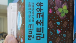 메이플스토리 인벤 : 민트초코에 대한 고찰.txt - 메이플스토리 인벤 자유게시판