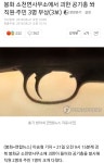 봉화 소천면사무소에서 괴한 공기총 쏴 직원·주민 3명 부상... 인벤 봉화 소천면사무소에서 괴한 공기총 쏴 직원·주민 3명 부상 - 오픈이슈갤러리