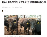리그오브레전드 인벤 : ㅋㅋㅋ 뉴스랑 댓글 개웃기네 ㅋㅋㅋㅋ - LoL 탑 게시판