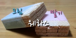 라그나로크 인벤 : 본섭 버섯농장사건에 대해 궁금합니다. - 라그나로크 제로 게시판