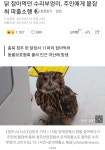 오버워치 인벤 : 너무 배고파서 남의집 닭장털다가 경찰서행 - 오버워치 인벤 자유게시판