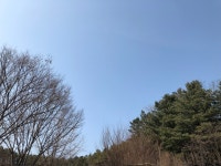 즈기요 여기가 감자국이드래요 - 디아블로3 인벤 자유게시판 - 디아블로3 인벤 즈기요 여기가 감자국이드래요 - 디아블로3 인벤 자유게시판