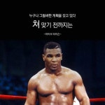 검은사막 인벤 : 펫질문이요 - 검은사막 인벤 질문과답변