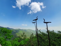 아...1시반까지 기다리다가 잠들엇다... | 오버워치 인벤