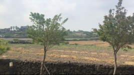 제주도의 아침 | 피파4 인벤