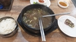 메이플스토리 인벤 : 밥먹고싸워 - 메이플스토리 인벤 자유게시판