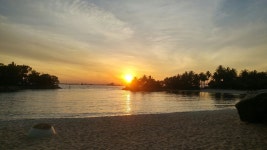 리그오브레전드 인벤 : 사계절이와 - LoL 인벤 자유 주제 게시판