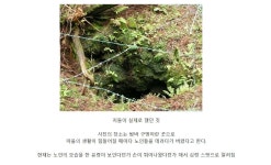 고려장이 일제에서 지어낸 풍습인 이유 | 웹진 인벤 - 인벤 고려장이 일제에서 지어낸 풍습인 이유 | 웹진 인벤