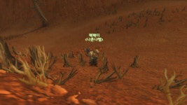 월드 오브 워크래프트 인벤 : 킹짱갓움 - 와우 인벤 클래식 게시판