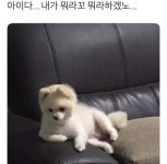 피파 온라인4 인벤 : 대일리 에이전트 - 피파 온라인4 인벤 자유게시판