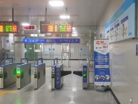 메이플스토리 인벤 : 오이오이... - 메이플스토리 인벤 자유게시판