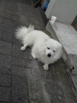 피파 온라인4 인벤 : 집앞 마트에 있는 개인데 - 피파 온라인4 인벤 자유게시판