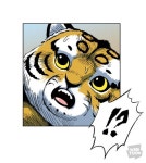 그루밍하는 고양이를 방해해봄 | 웹진 인벤 - 인벤 그루밍하는 고양이를 방해해봄 | 웹진 인벤