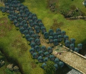 누이 동대 운전면허시험 ON | 아키 인벤