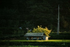 부동산 a or b | 메이플 인벤