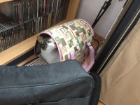 뜨억이 - 디아블로3 인벤 자유게시판 - 디아블로3 인벤 뜨억이 - 디아블로3 인벤 자유게시판