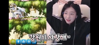 강원기업계포상 ;; | 메이플 인벤
