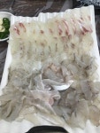 울진 죽변항에서.. | 파판14 인벤