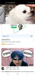리그오브레전드 인벤 : 개키우는 영상에 이게왜뜨냐고 - LoL 인벤 자유 주제 게시판