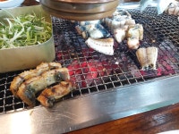 메이플스토리 인벤 : HP1000 회복한 메붕이 - 메이플스토리 인벤 자유게시판