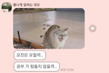 연애떡밥은 없어야 재밌는 거더라 | 오버워치 인벤