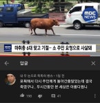메이플스토리 인벤 : 마당을 나온 암소 - 메이플스토리 인벤 자유게시판
