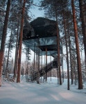 treehotel Posts