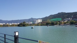 걷기좋은곳. 대구의 랜드마크 수성못! #대(사진)...더보기