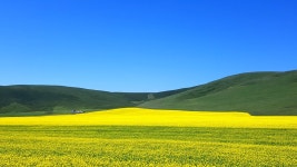 예전 사진. #슬렁씨. 눈이 즐거운..(사진)...더보기