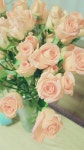 #꽃다방 #동네카페 오늘 동네 꽃다방에서 (사진)...더보기
