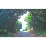 제주 올레길 5코스 #aisitteru ?(사진)...더보기