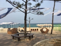 첫 날 도착해서 보았던 아름다운 바다, 안(사진)...더보기