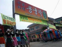 Dynamic Busan Tour > ニュース > 釜山旅行記 > [UENO MICHIKO] 春の散策（海雲台タルマジキル～松亭海水浴場、海東龍宮寺）