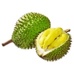 Durian | tradekorea