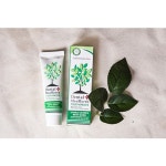 Dental MasMyrrh Toothpaste | tradekorea Dental MasMyrrh Toothpaste  | tradekorea