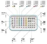 Dental Surgical Kit_485 KIT | tradekorea