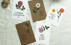 텐바이텐 10X10 : [텐텐클래스] (강남) 캘리그라피 압화꽃 카드 만들기