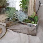 텐바이텐 10X10 : (이태원/광화문) 8월의 특별한 테마가 있는 플라워 클래스