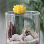 텐바이텐 10X10 : [텐텐클래스] (강동) 책상 위 작은 정원 테라리움 원데이클래스