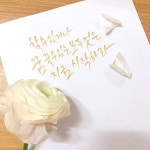 [텐텐클래스] (송도) 캘리그라피 원데이클래스 | 텐바이텐