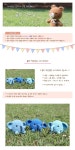 텐바이텐 10X10 : [곰의 작은집] 아기코끼리 DIY 인형 만들기