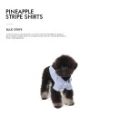 텐바이텐 10X10 : PINEAPPLE SHIRTS BLUE