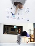 텐바이텐 10X10 : THE TOYS