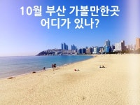 10월 부산 가볼만한곳 어디가 있나? - 위즐