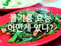 들기름 효능 어떤게 있나? - 위즐