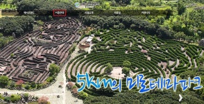 메이즈랜드 입장료 및 이용시간 - 위즐